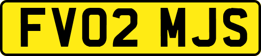 FV02MJS