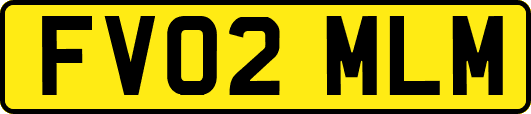 FV02MLM