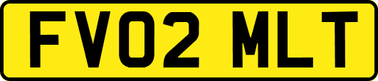 FV02MLT