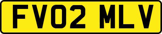 FV02MLV