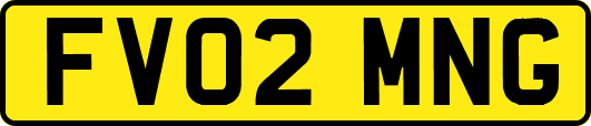 FV02MNG