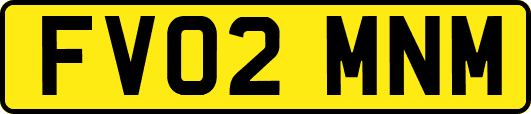 FV02MNM