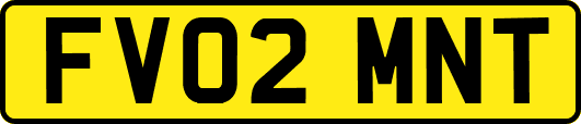 FV02MNT