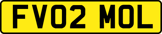 FV02MOL