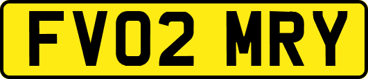 FV02MRY