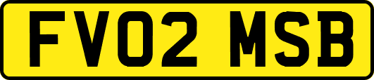 FV02MSB