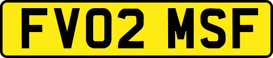FV02MSF