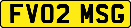 FV02MSG
