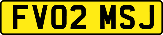 FV02MSJ