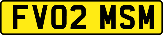 FV02MSM