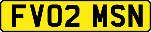 FV02MSN