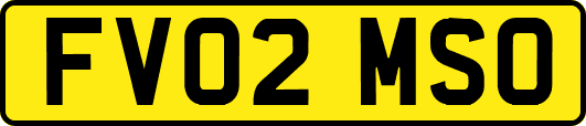 FV02MSO