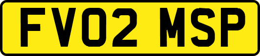 FV02MSP