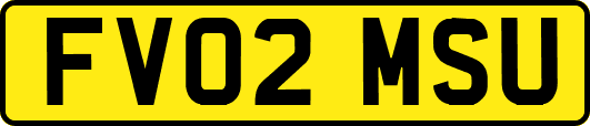 FV02MSU