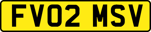 FV02MSV