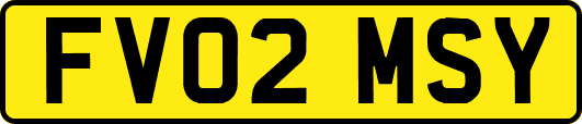 FV02MSY