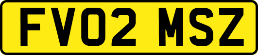 FV02MSZ