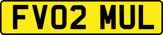 FV02MUL