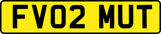 FV02MUT