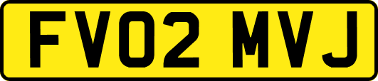 FV02MVJ