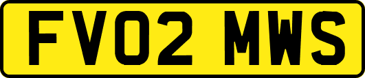 FV02MWS
