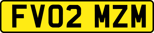 FV02MZM