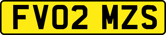 FV02MZS