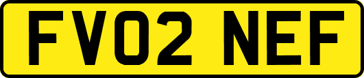 FV02NEF
