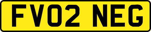 FV02NEG