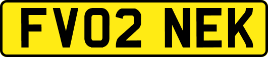 FV02NEK