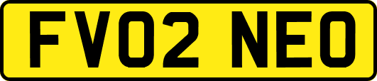 FV02NEO
