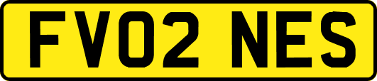 FV02NES