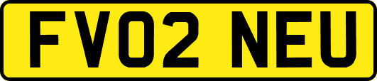 FV02NEU