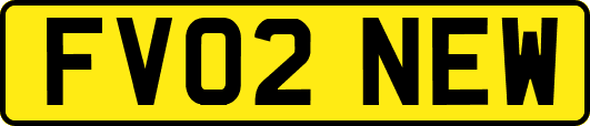 FV02NEW