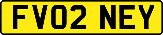 FV02NEY