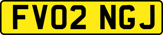 FV02NGJ