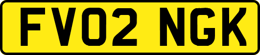 FV02NGK