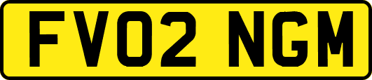 FV02NGM