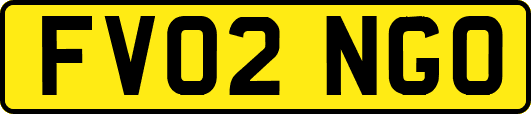 FV02NGO