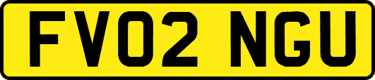 FV02NGU