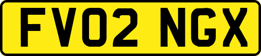 FV02NGX