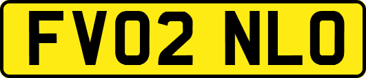 FV02NLO