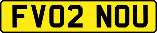 FV02NOU