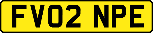 FV02NPE