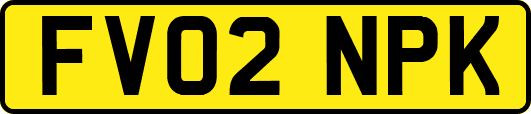 FV02NPK