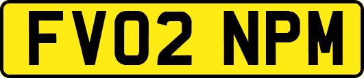 FV02NPM