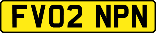 FV02NPN