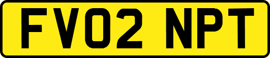 FV02NPT