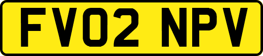 FV02NPV