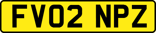 FV02NPZ